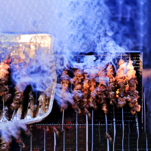 Barbeque Sticks on Rent ( 6 Sticks) - Image 2