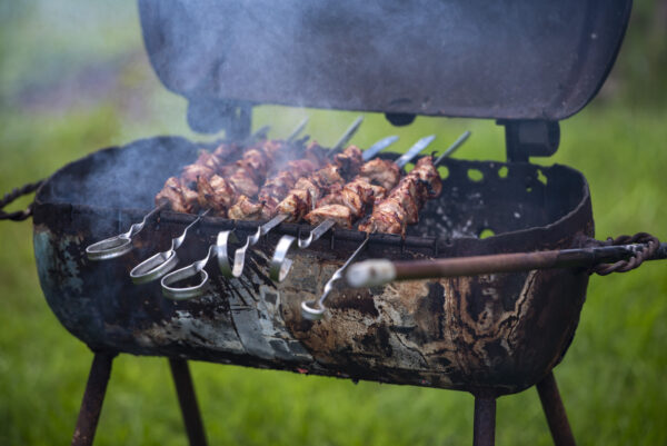 Barbeque Sticks on Rent ( 6 Sticks) - Image 3