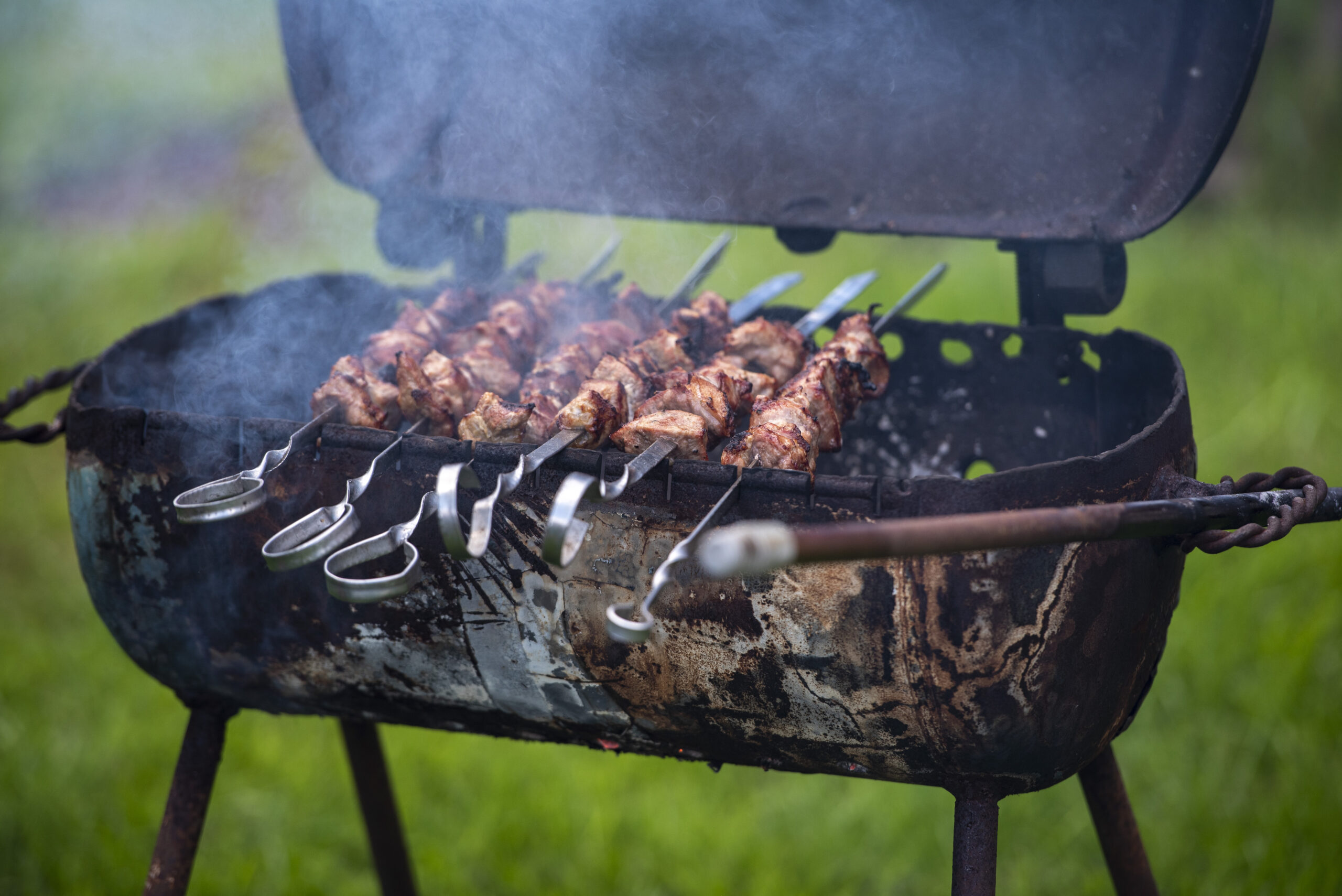 Barbeque Sticks on Rent ( 6 Sticks) - Image 3